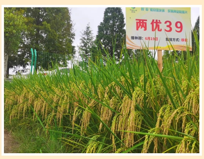 微信截圖_20240311103827.png 微信截圖_20240311103827.png