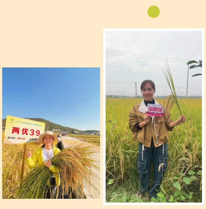 微信截圖_20240311103759.png 微信截圖_20240311103759.png