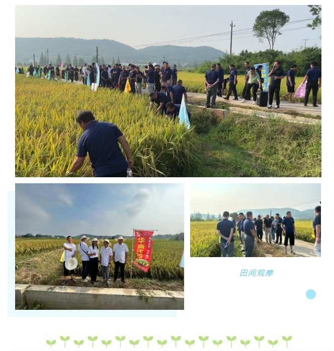 微信截圖_20250207111017.png 微信截圖_20250207111017.png