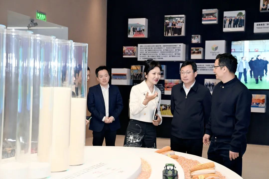 圖片8.png 圖片8.png